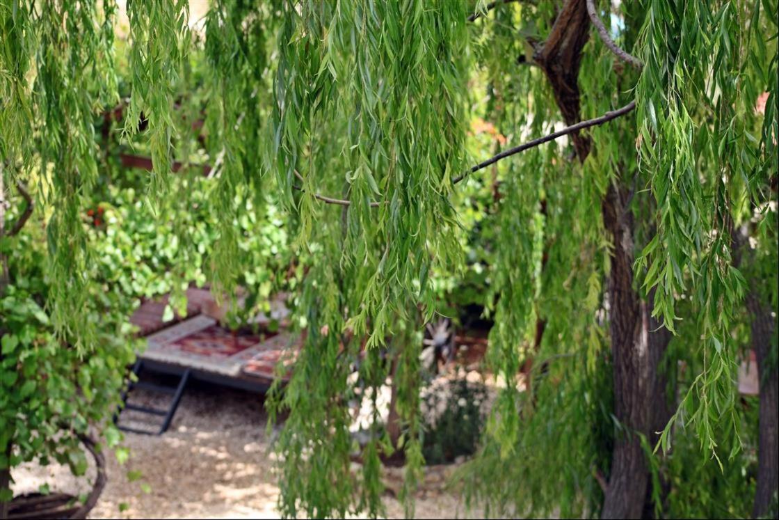 Kas Doga Park Hotel Kaş Dış mekan fotoğraf