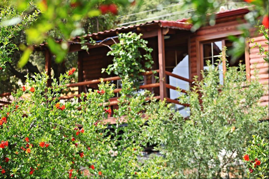 Kas Doga Park Hotel Kaş Dış mekan fotoğraf