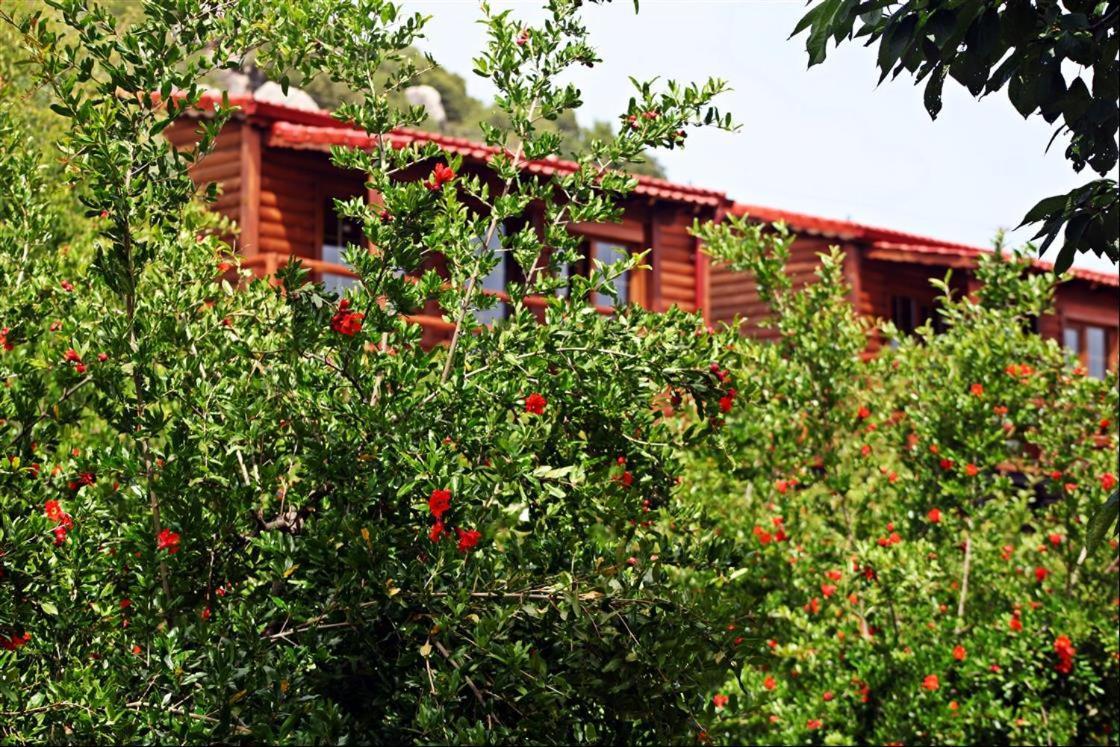 Kas Doga Park Hotel Kaş Dış mekan fotoğraf