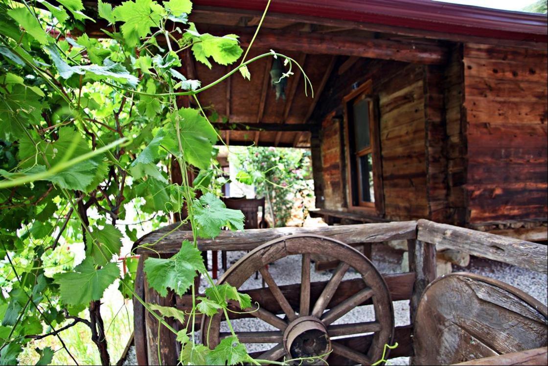 Kas Doga Park Hotel Kaş Dış mekan fotoğraf