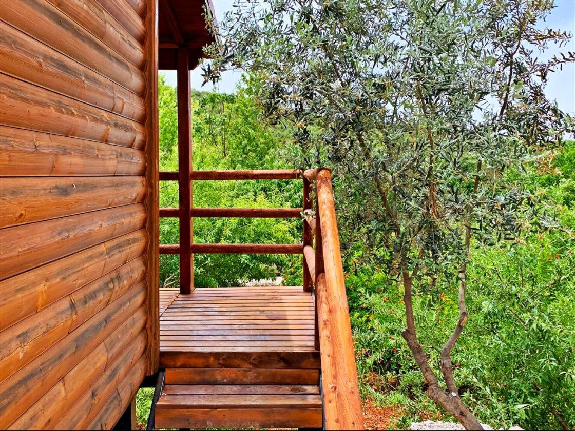 Kas Doga Park Hotel Kaş Dış mekan fotoğraf