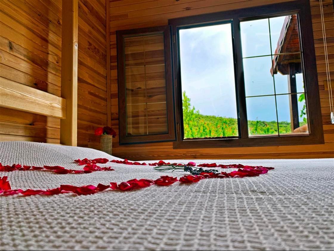 Kas Doga Park Hotel Kaş Dış mekan fotoğraf